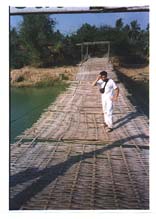 Bamboo bridge